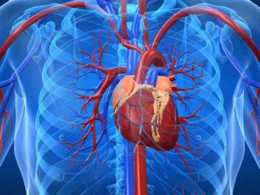 Антагоніст мінералокортикоїдних рецепторів еплеренон:  вплив на серцево-судинну патологію та профіль безпеки