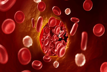 Профілактика та лікування тромботичних ускладнень у сучасних умовах