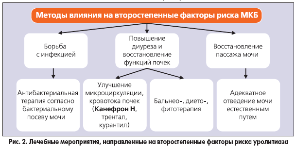 Схема лечения травами почек Схема лечения травами почек