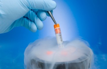 Лечение нарушений микробиома влагалища перед использованием метода переноса замороженных эмбрионов