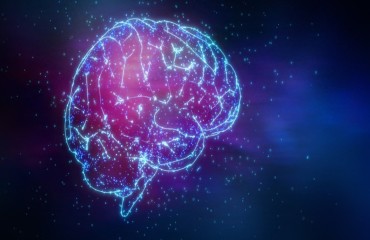 Проблемні аспекти лікування епілепсії: епілептичний статус і фармакорезистентність