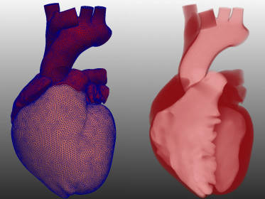 Пандемия COVID-19 и визуализация сердца
