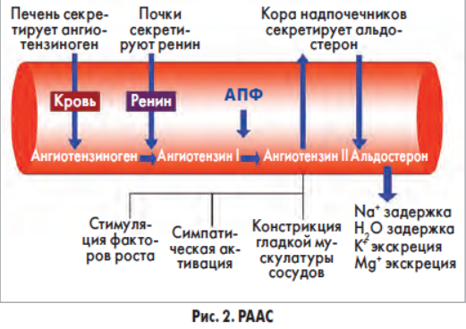 Повышение ренина