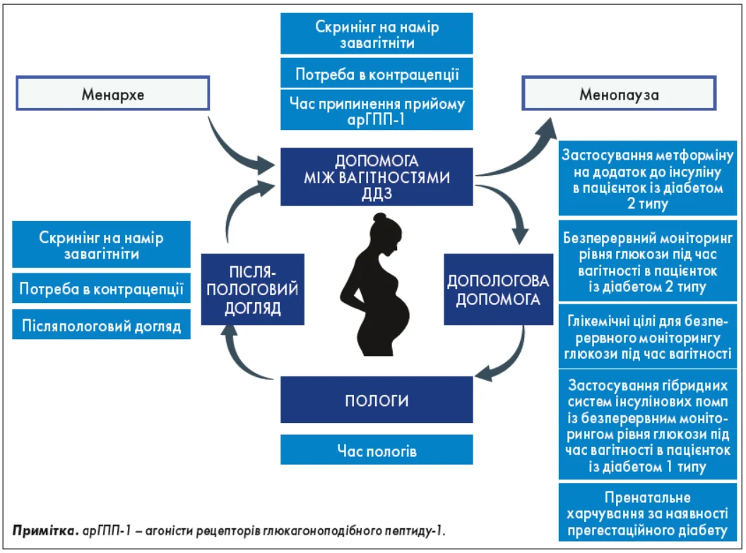 Рис. Клінічні питання, які розглядають на різних етапах репродуктивного життя в жінок із прегестаційним діабетом Endo_4_2025_p_8_pic_1.webp
