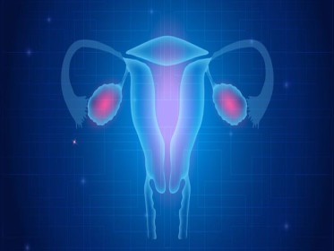 Влияние терапии каберголином и метформином на регулярность менструального цикла и андрогенную систему у женщин с синдромом поликистозных яичников и гиперпролактинемией
